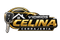 Vidrios Celina Cerrajería